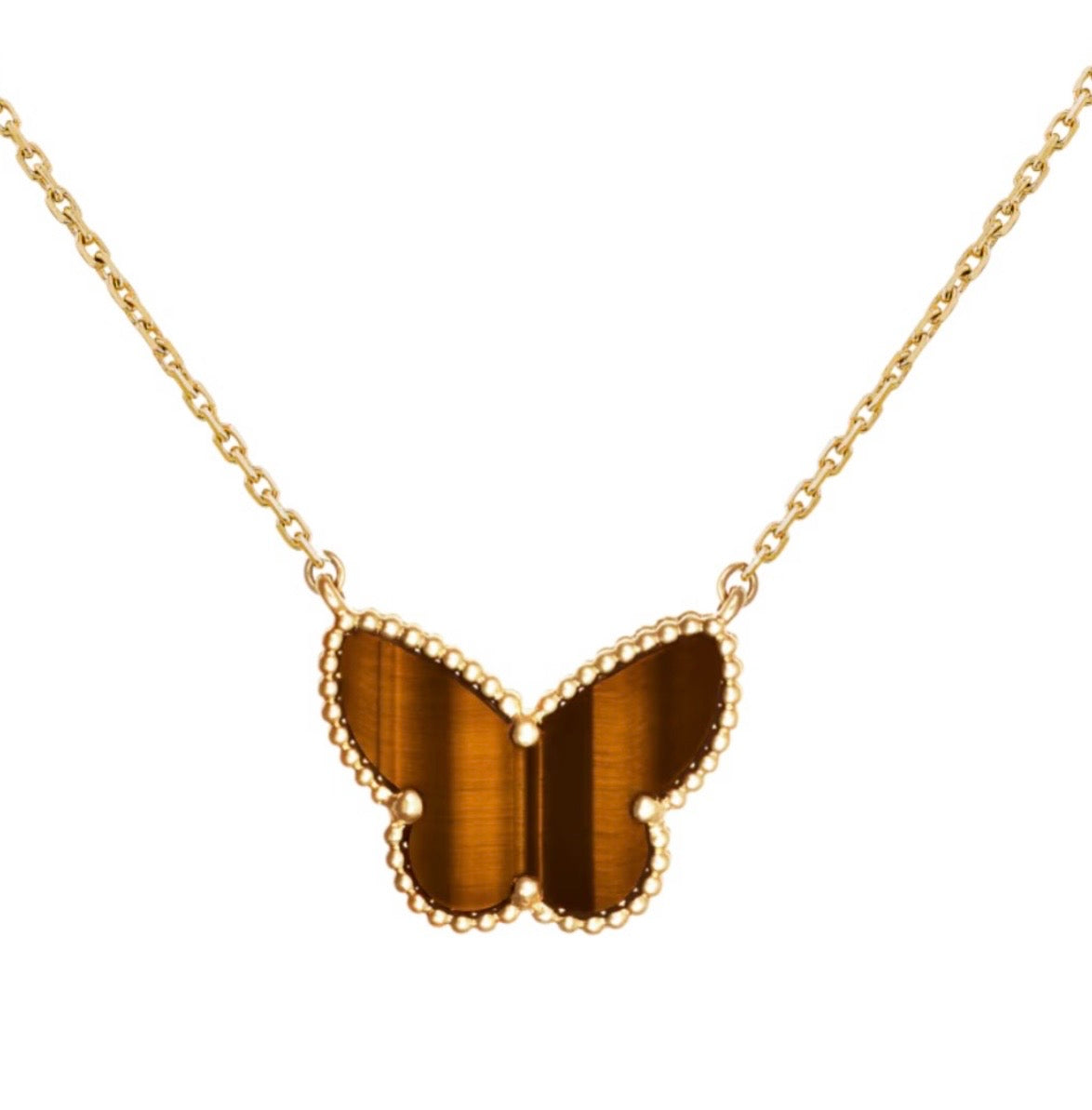 Brown Butterfly